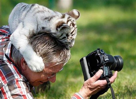 50 photos de rencontres entre photographes et animaux