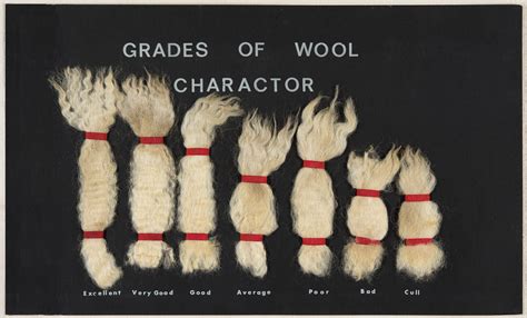 Grades of Wool Charactor | Lincoln University Living Heritage: Tikaka Tuku Iho
