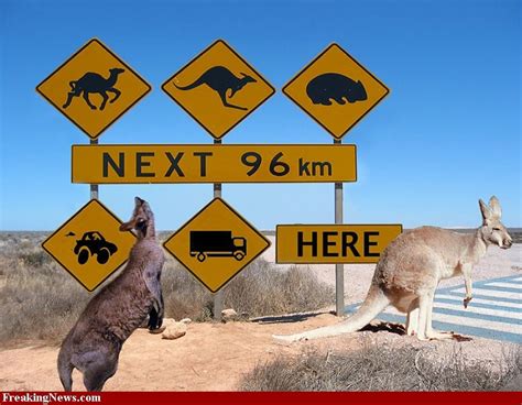 Australian Traffic Signs | Funny road signs, Australia, Signs