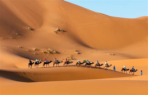 Morocco camel ride tours to explore the Sahara desert of Erg Chebbi in Merzouga