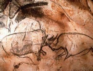 Bear DNA is clue to age of Chauvet cave art | New Scientist
