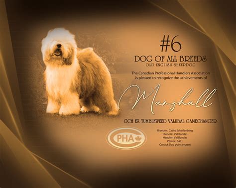 CPHA Top Dog Awards — Canadian Professional Handlers Association