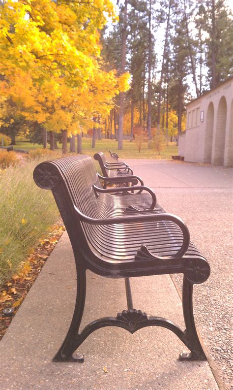 Park benches at Comstock | Garden paving, Park bench, Garden bench