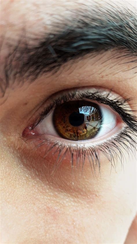 Pretty Eyes, Cool Eyes, Brown Eyes Aesthetic, Body Art Photography, Eye Pictures, Photos Of Eyes ...