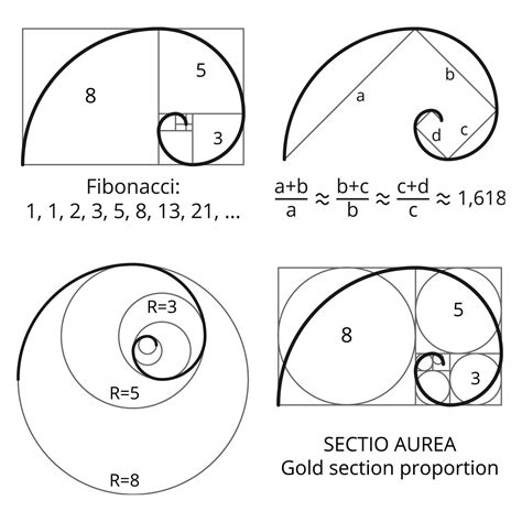 Golden Spiral Symbol | Sacred geometry art, Geometry art, Fibonacci art