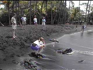 Punalu'u Black Sand Beach - Big Island of Hawaii