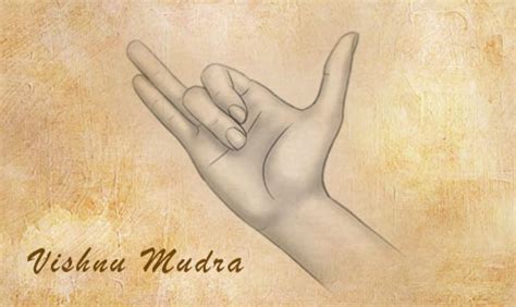 Vishnu Mudra for Bringing Peace and Harmony Into Your Life - SOLANCHA