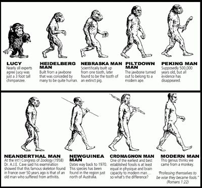 Funny evolution pictures - 31 Pics | Curious, Funny Photos / Pictures