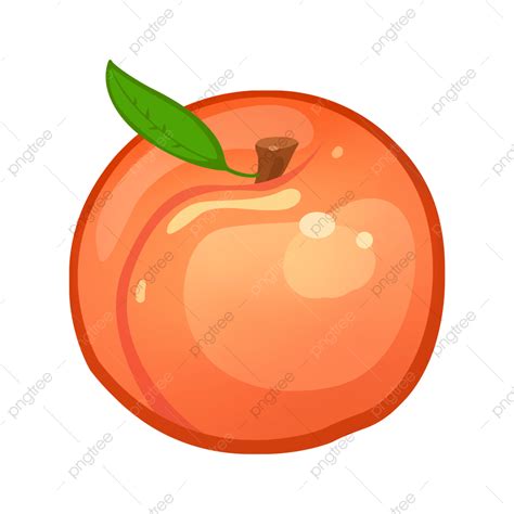 Peach Fruit Clipart PNG Images, Fruit Peaches Illustration, Fruit ...
