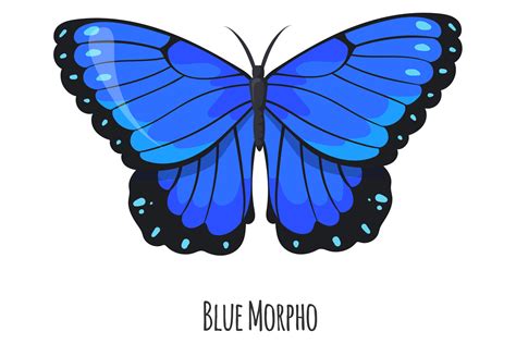 Blue Morpho Butterfly. Exotic Winged Mot Graphic by smartstartstocker ...