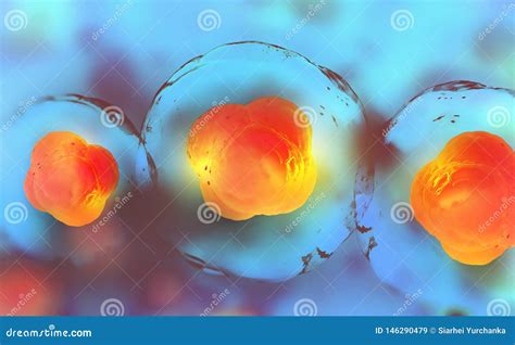 Cellular Division Under Microscope. Mitosis, The Process Of Cell Division Stock Photography ...