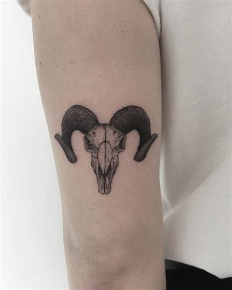 Goat skull by tattooist Spence @zz tattoo - Tattoogrid.net