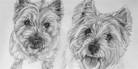 Dog Portraits in Pencil - Portrait Artist Rebecca | Popping Portraits