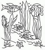 Free Underwater Scene Coloring Pages Download  sketch template