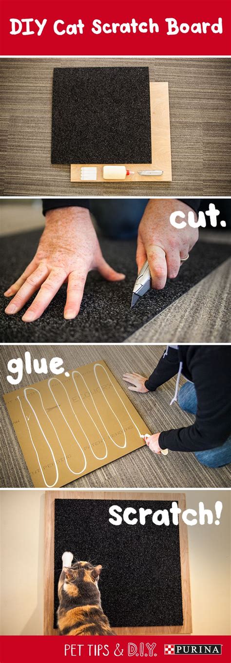 Make a quick and easy DIY scratching post for your cat with just a few materials! | Cat diy ...