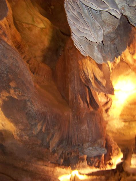 Skyline Caverns, Virginia | Cavern, Wild nature, Beautiful