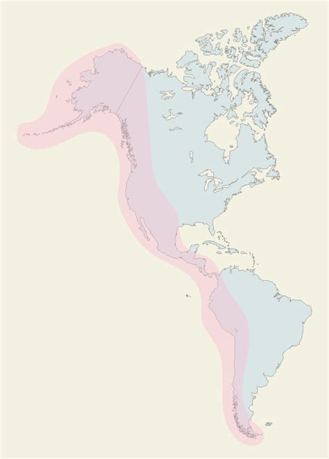 Birding 101: The Pacific Flyway - The BC Bird Trail