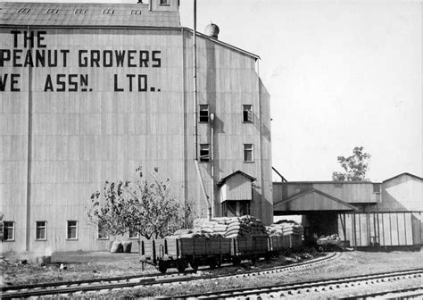 History of the Peanut Industry - The Peanut Company of Australia