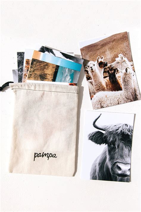 Art Postcards | Pampa Animals