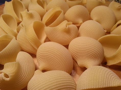 Lumaconi (snail shell pasta) – The Pasta Project