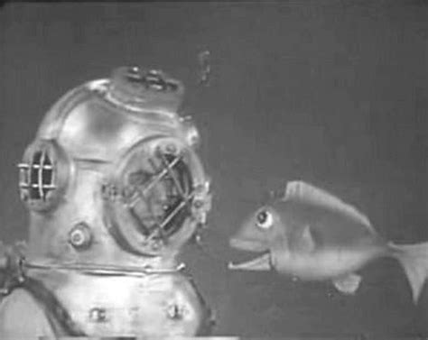 Diver Dan / Romper Room | Diver dan, Baby boomers memories, Kids tv programs