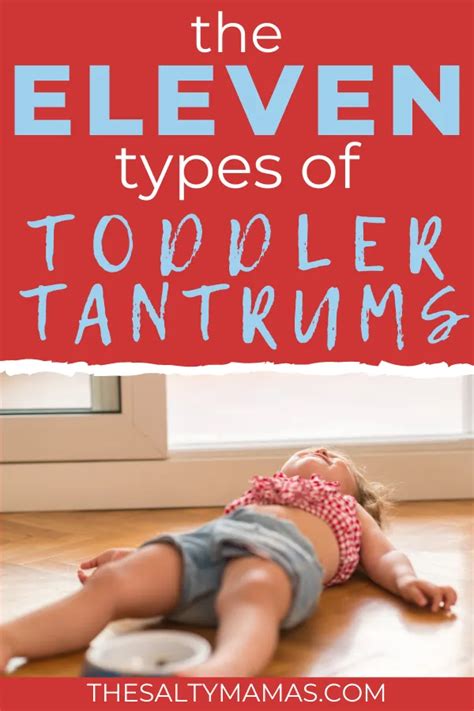 Wondering how many different types of toddler tantrums there are? Or ...