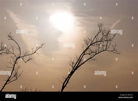 Sunset on beach in Osaka, Japan Stock Photo - Alamy