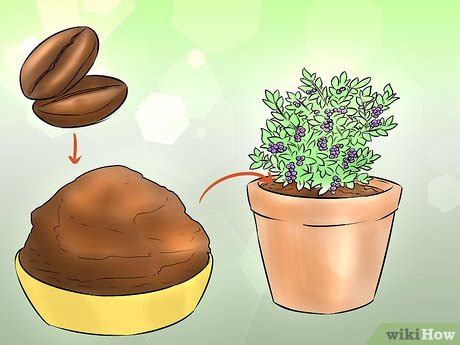 How to Make Homemade Plant Fertilizer: 9 Steps (with Pictures)