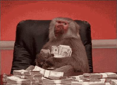 Monkey With Money Happy Withmoney GIF - Monkey With Money Happy Withmoney Swag - GIF を見つけて共有する