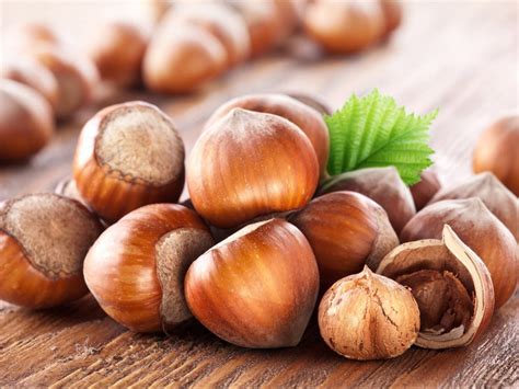 Hazelnut shells could be used as potential ‘renewable energy source ...