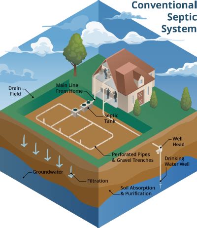 Your Septic System - Water Programs - University of Florida, Institute of Food and Agricultural ...