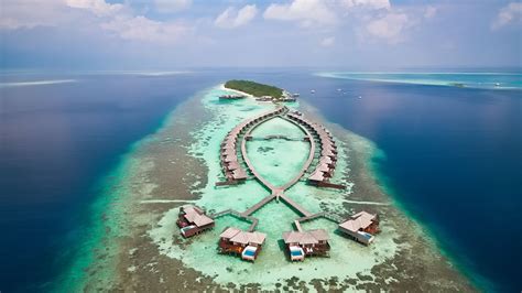 LilyBeach - Dive The Maldives