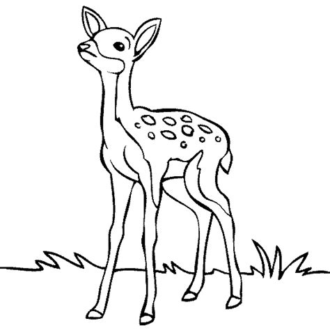 Free Deer Clipart Black And White, Download Free Deer Clipart Black And White png images, Free ...