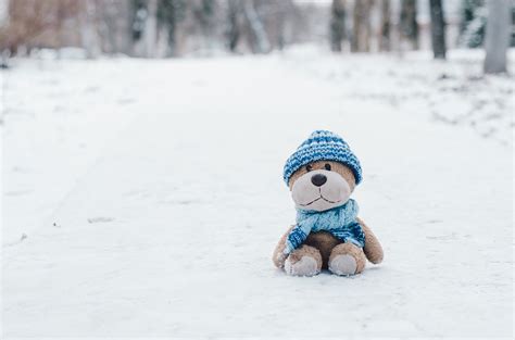 The snow was falling quietly or the wise bear cub * All PYRENEES ...