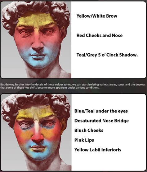 [1] Color Zones of the Face [Tried to find source,... : Art Resources ...