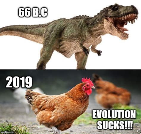 Evolution Sucks!!! - Imgflip