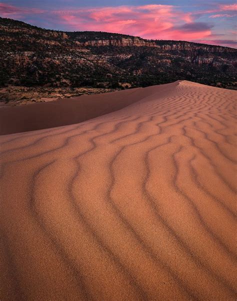 Just after sunset at Coral Pink Sand Dunes near Kanab, Utah. by Jared ...