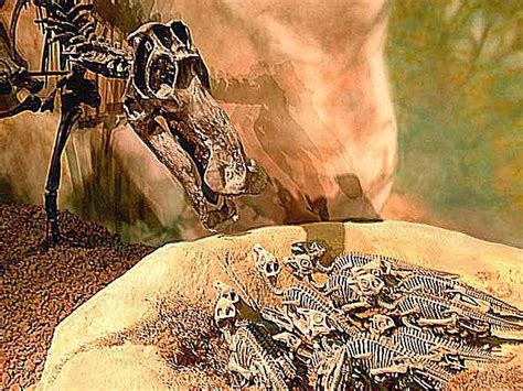 10 Facts About Maiasaura, the 'Good Mother Dinosaur'