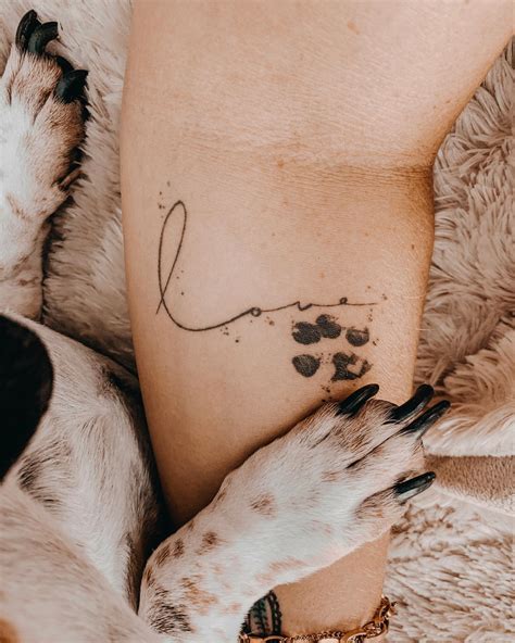 Cat paw print tattoo ideas photos