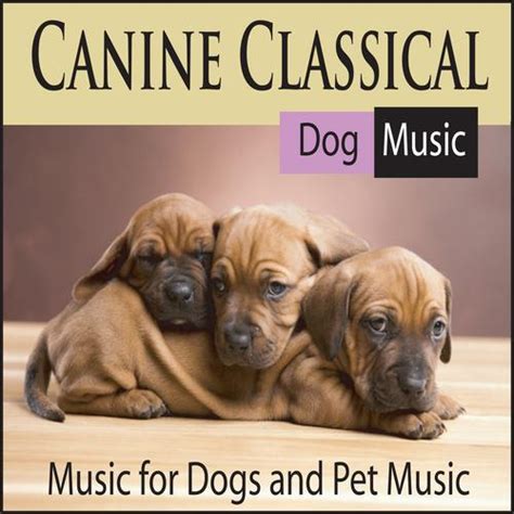 Canine Classical Dog Music: Music for Dogs and Pet Music by John Story - Pandora