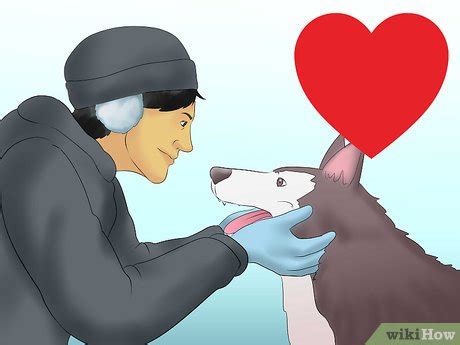 4 Ways to Get Started Dog Mushing - wikiHow