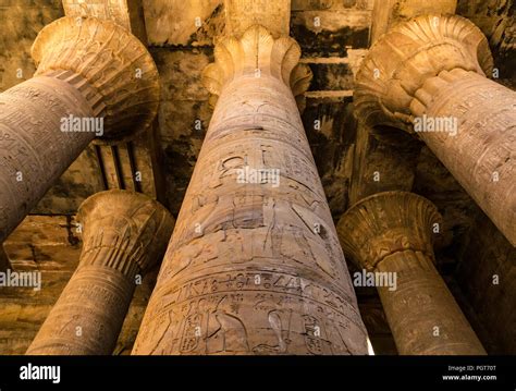 Looking up at carved floral capitals of stone columns in hypostyle hall with hieroglyphs, Edfu ...