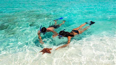 Have fun snorkeling in Jamaica!