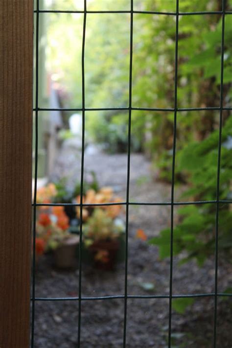 Hardscaping 101: Hog Wire Fence - Gardenista