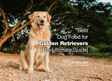 12: Best Dog Food for Golden Retrievers 2021 [The Ultimate Guide] - All ...