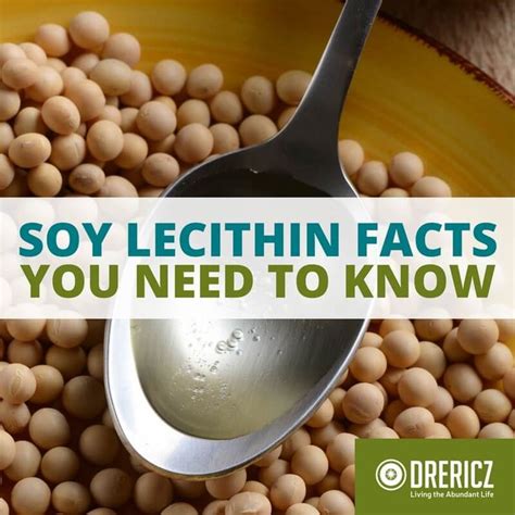 What is Soy Lecithin? Side Effects, Nutritive Benefits, and Truths to ...