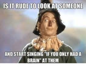 Scarecrow Wizard Of Oz If I Only Had A Brain Meme - Jagodooowa