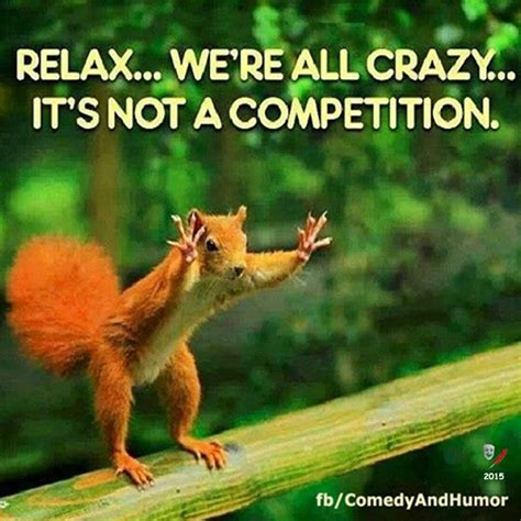 That's my kind of crazy... ☺ | Weird quotes funny, Funny quotes, Funny picture quotes