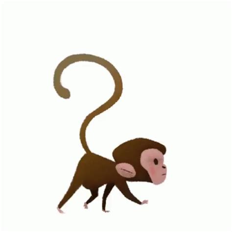 a small monkey is standing on one leg and looking up at the sky with its tail in the air