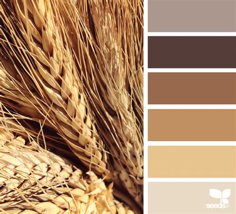 Wheat Color Paint – A Guide To Choosing The Perfect Shade For Your Home - Paint Colors